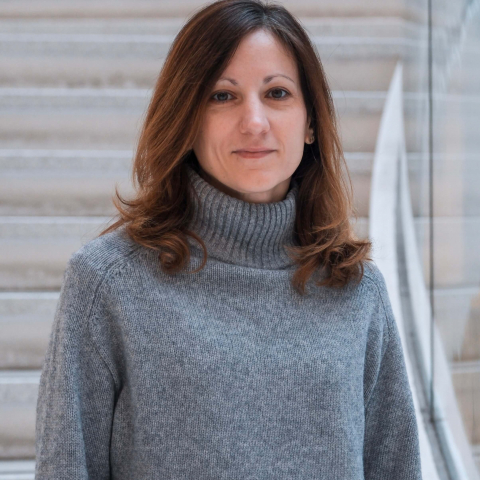 Daisy Romaniello image